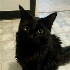 Meet your Posher, Skyler